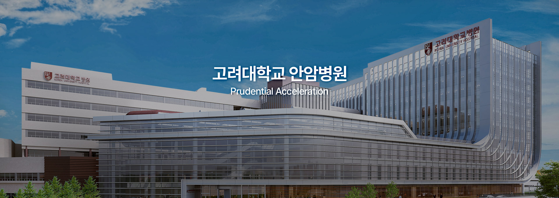 고려대학교 안암병원 국가지정 연구중심병원